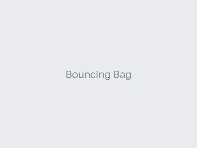 Bouncing Bag - Infinitum Boxing