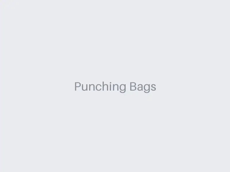Punching Bags - Infinitum Boxing