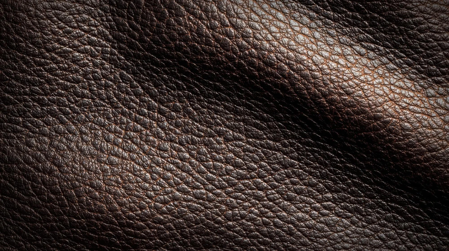A sample boxing product prepared for review